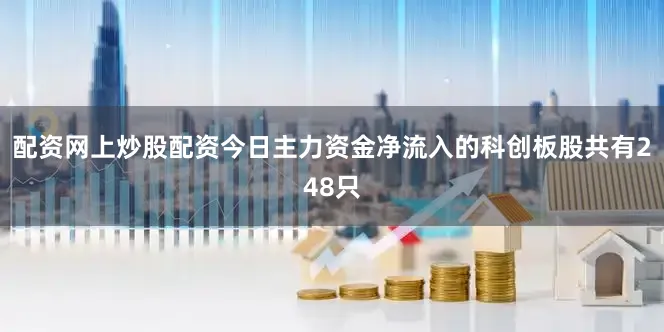 配资网上炒股配资今日主力资金净流入的科创板股共有248只