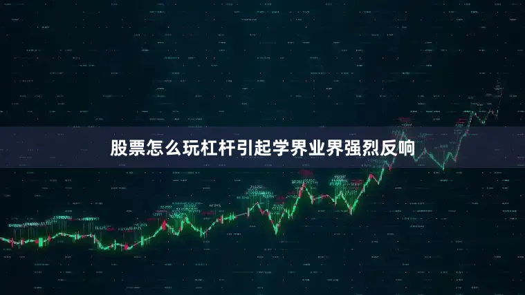 股票怎么玩杠杆引起学界业界强烈反响