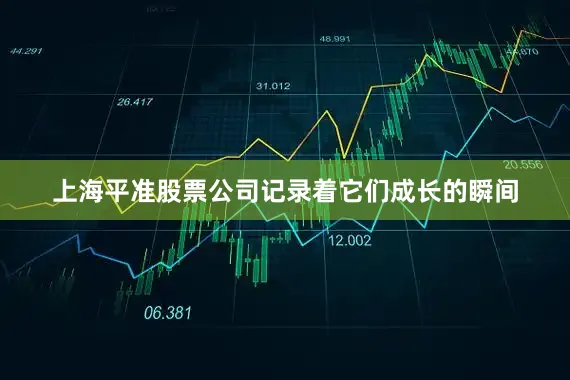 上海平准股票公司记录着它们成长的瞬间