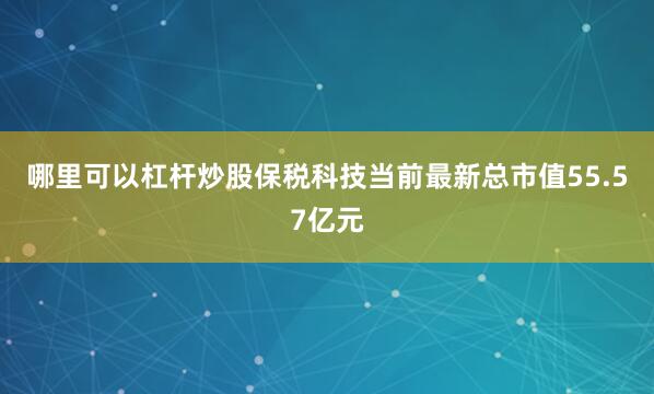 哪里可以杠杆炒股保税科技当前最新总市值55.57亿元