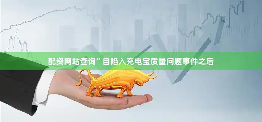 配资网站查询”自陷入充电宝质量问题事件之后